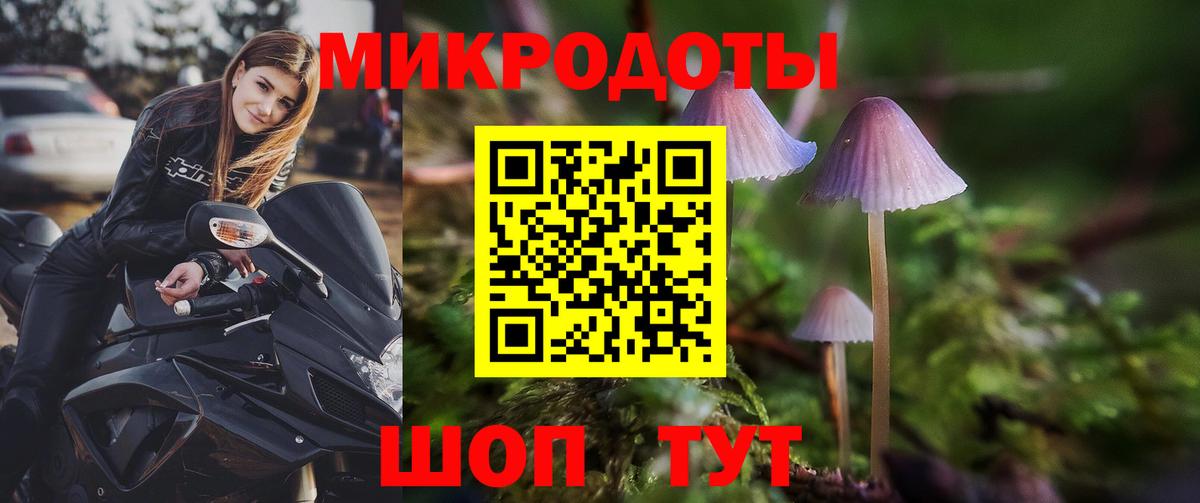 Кировск  Псилоцибиновые грибы Psilocybine cubensis  Вход с VPN 